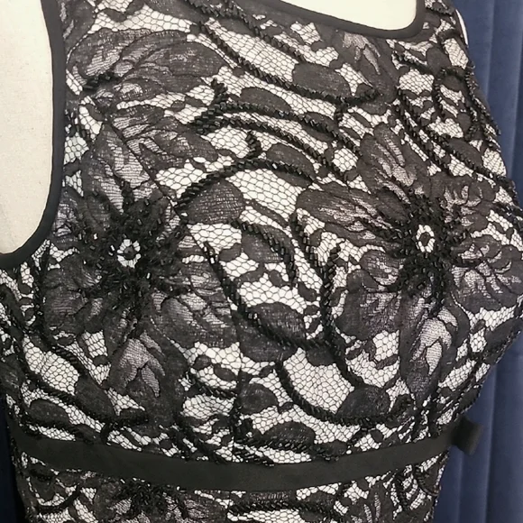 Carmen Marc Valvo Black and White Bodycon Midi Dress NWOT - Picture 4 of 7